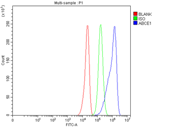 ABCE1 Rabbit Polyclonal Antibody