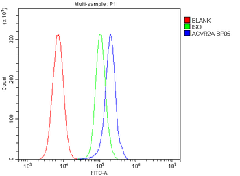 Activin Receptor Type IIA/ACVR2A Rabbit Polyclonal Antibody
