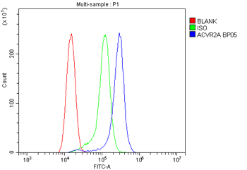 Activin Receptor Type IIA/ACVR2A Rabbit Polyclonal Antibody