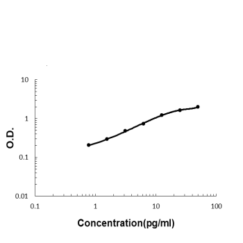 ADAMTS13 Rabbit Polyclonal Antibody