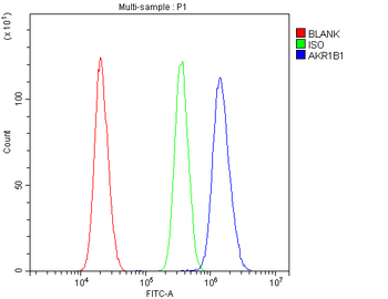 AKR1B1 Rabbit Polyclonal Antibody