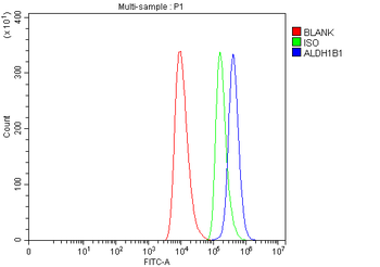 ALDH1B1 Rabbit Polyclonal Antibody