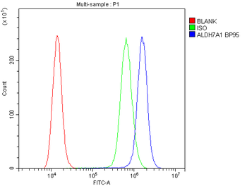 ALDH7A1 Rabbit Polyclonal Antibody