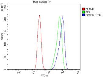 CCDC6 Rabbit Polyclonal Antibody