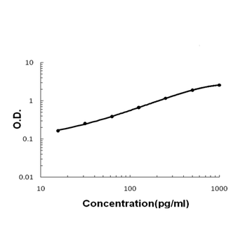 FGF19 Rabbit Polyclonal Antibody