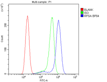 67kDa Laminin Receptor/RPSA Rabbit Polyclonal Antibody