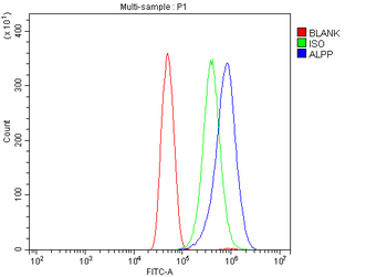 Placental alkaline phosphatase/ALPP Rabbit Polyclonal Antibody