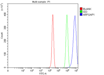 ARFGAP1 Rabbit Polyclonal Antibody
