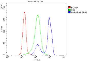 HnRNP A1/HNRNPA1 Rabbit Polyclonal Antibody