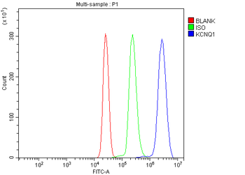 KCNQ1 Rabbit Polyclonal Antibody