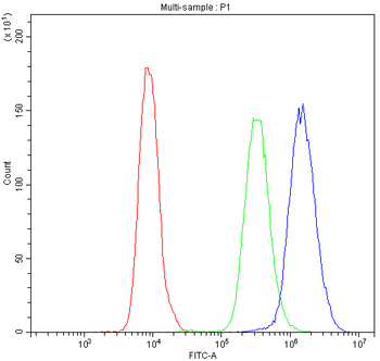 Nucleoside phosphorylase/PNP Rabbit Polyclonal Antibody
