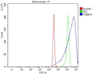 Beta Tubulin/TUBB Rabbit Polyclonal Antibody