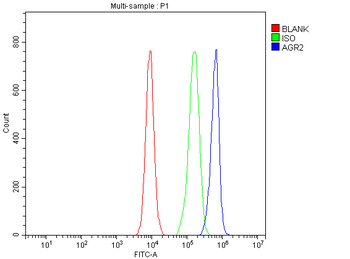 Anterior Gradient 2/AGR2 Rabbit Polyclonal Antibody