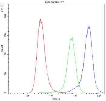 Bax Rabbit Polyclonal Antibody