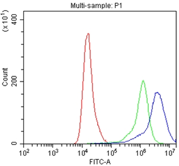 IFNGR1 Rabbit Polyclonal Antibody
