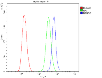 Nanog Rabbit Polyclonal Antibody