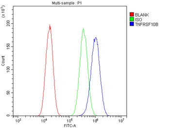 DR5/TNFRSF10B Rabbit Polyclonal Antibody