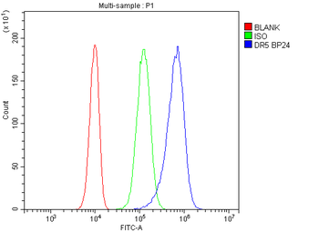 DR5/TNFRSF10B Rabbit Polyclonal Antibody