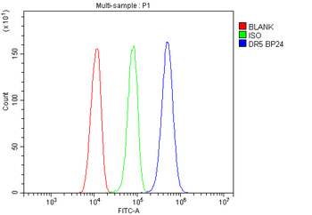 DR5/TNFRSF10B Rabbit Polyclonal Antibody