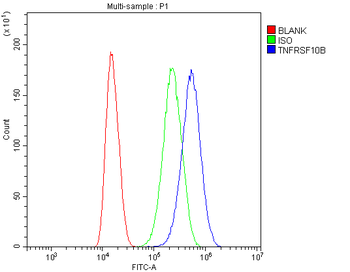 DR5/TNFRSF10B Rabbit Polyclonal Antibody