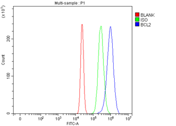 Bcl-2/BCL2 Rabbit Polyclonal Antibody