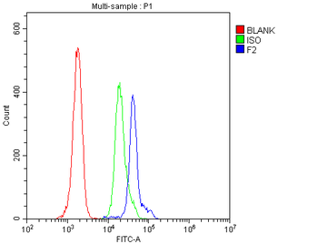 Prothrombin/F2 Rabbit Polyclonal Antibody