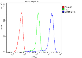CD44 Rabbit Polyclonal Antibody