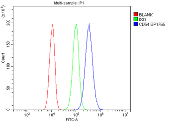 ICAM1 Rabbit Polyclonal Antibody