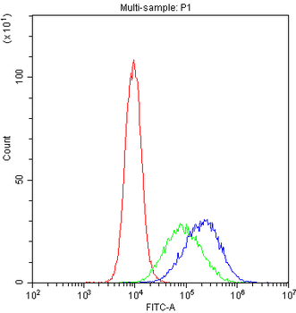 DC-SIGN/CD209/DC Rabbit Polyclonal Antibody
