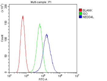 NEDD4-2/NEDD4L/NEDD4 Rabbit Polyclonal Antibody