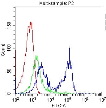 CD7 Rabbit Polyclonal Antibody