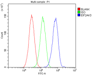 PERK/EIF2AK3 Rabbit Polyclonal Antibody