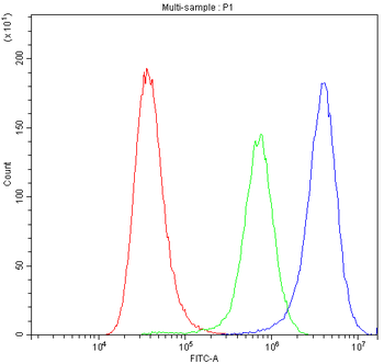 Synaptotagmin 1/SYT1 Rabbit Polyclonal Antibody