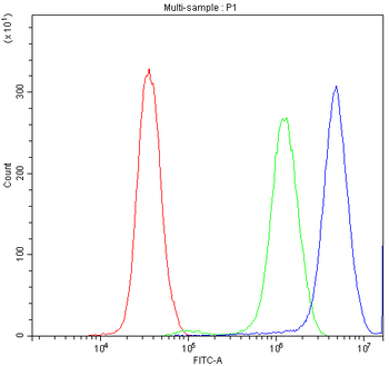 Synaptotagmin 1/SYT1 Rabbit Polyclonal Antibody