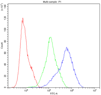 Dynamin 1/DNM1 Rabbit Polyclonal Antibody