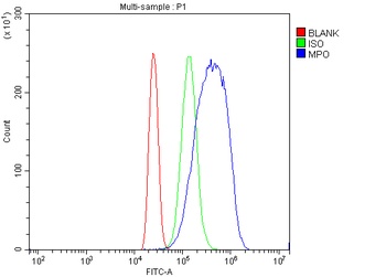 Myeloperoxidase/MPO Rabbit Polyclonal Antibody