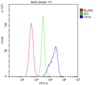 CD14 Rabbit Polyclonal Antibody