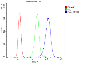 Ran Rabbit Polyclonal Antibody