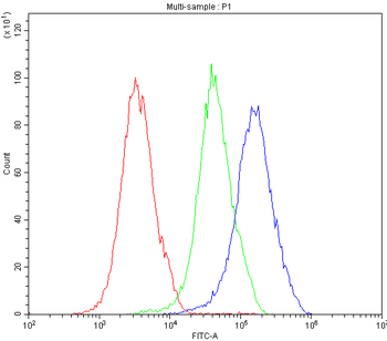 NFAT2/NFATC1 Rabbit Polyclonal Antibody