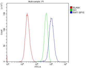 Raf1 Rabbit Polyclonal Antibody