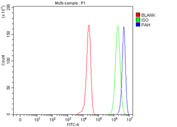 PAH Rabbit Polyclonal Antibody