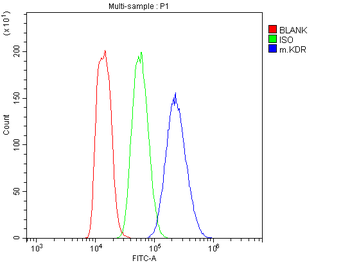 VEGF Receptor 2/Kdr Rabbit Polyclonal Antibody