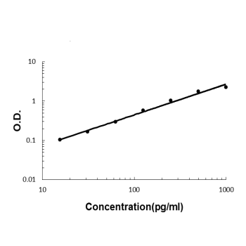 IL-22/IL22/IL Rabbit Polyclonal Antibody