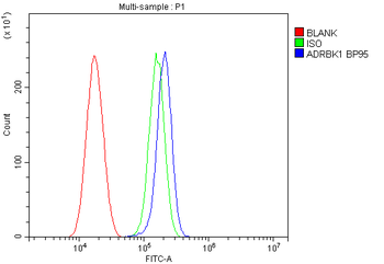 GRK2/GRK2 Rabbit Polyclonal Antibody