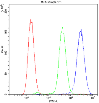 PPID Rabbit Polyclonal Antibody