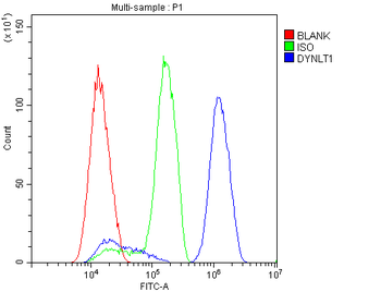 DYNLT1 Rabbit Polyclonal Antibody