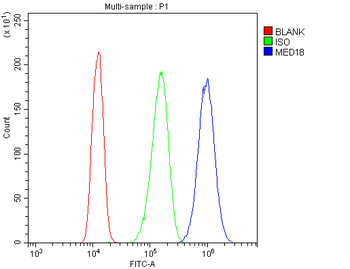 MED18 Rabbit Polyclonal Antibody