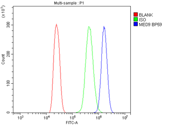 MED9 Rabbit Polyclonal Antibody