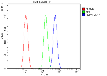 hnRNP A2B1/HNRNPA2B1 Rabbit Polyclonal Antibody