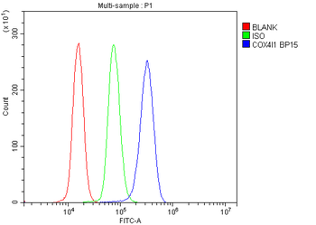 COX IV/COX4I1 Rabbit Polyclonal Antibody